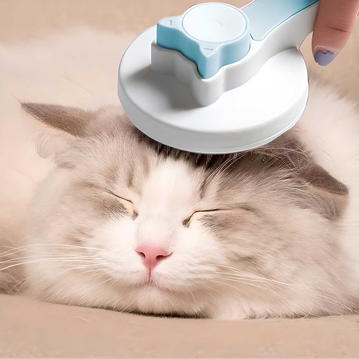 Pet Hair Removal Brush - GADGETA2Z