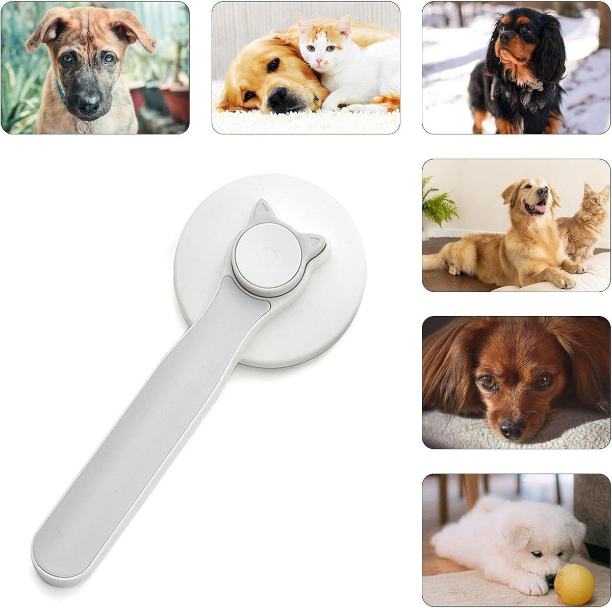 Pet Hair Removal Brush - GADGETA2Z