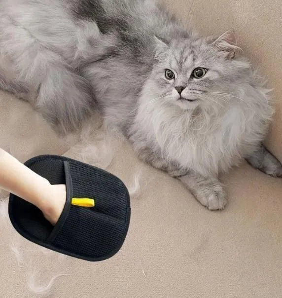 Pet Hair Removal Gloves - GADGETA2Z